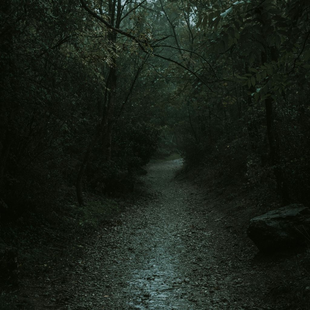 On my Own (prodby GTMeƧƧenger